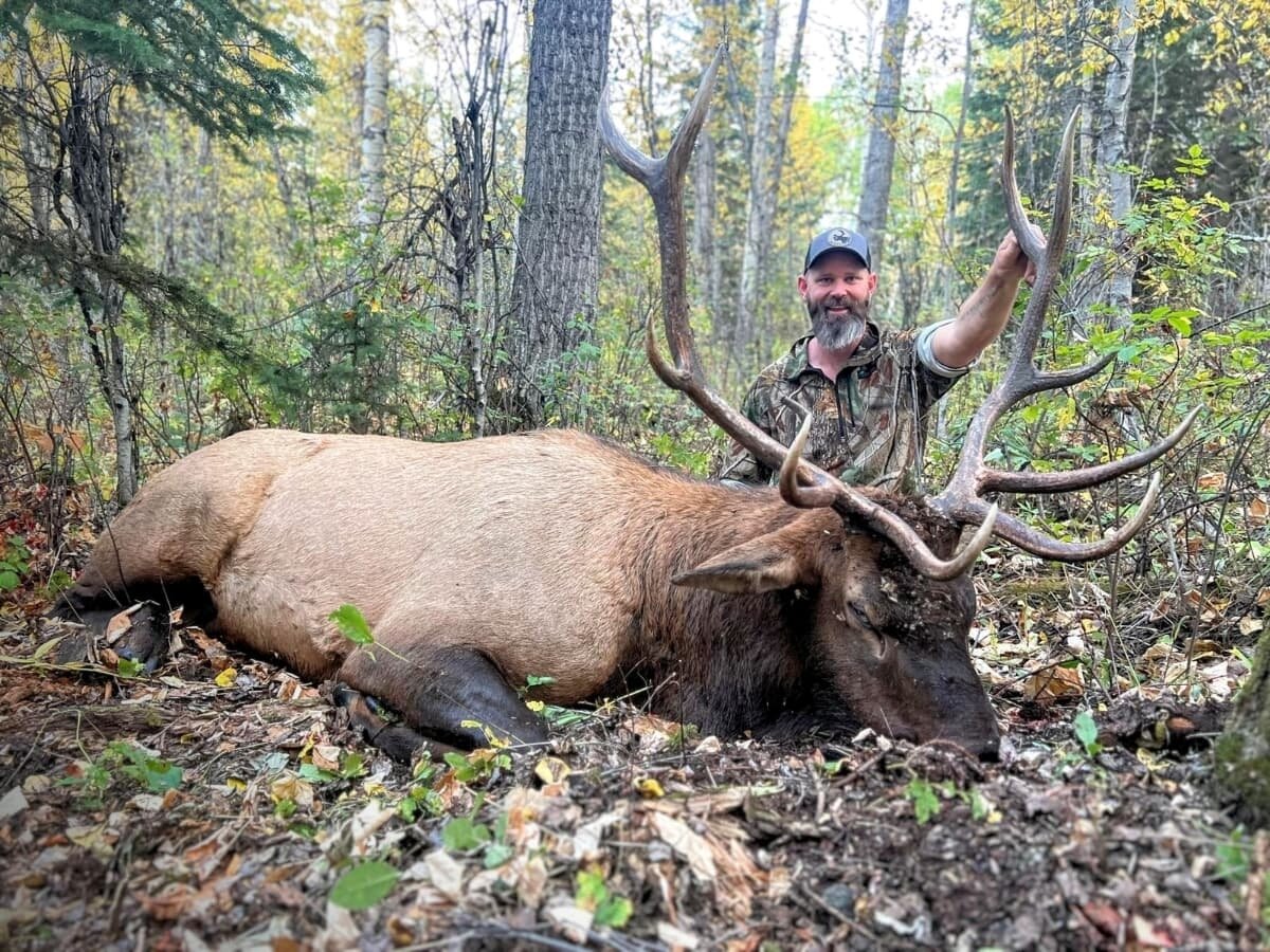 Wapiti-Jagd in British Columbia